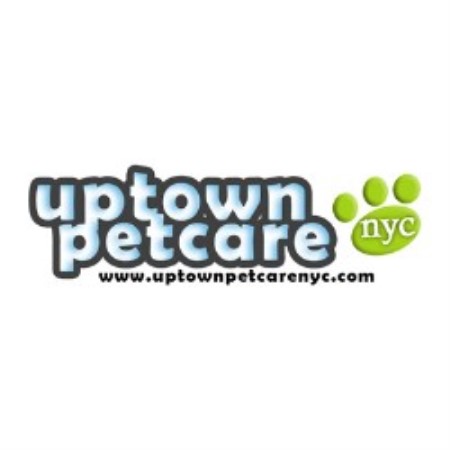 NYC dog walker