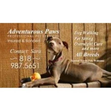 Professional Pet Sevices