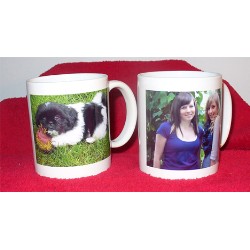 Dog Boutique/Barkery in Ontario