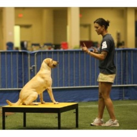 Dog Training in South Carolina