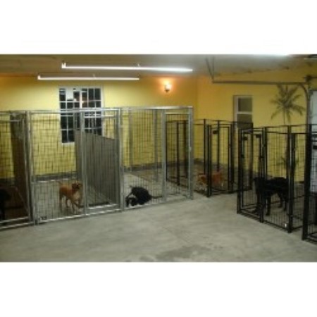 Dog Groomer ,Dog GroomerIllinois