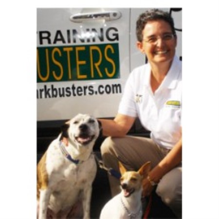 Dog Training in Massachusetts