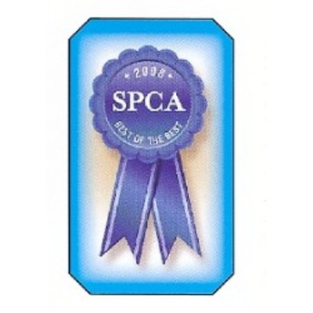 Dog Training in Massachusetts