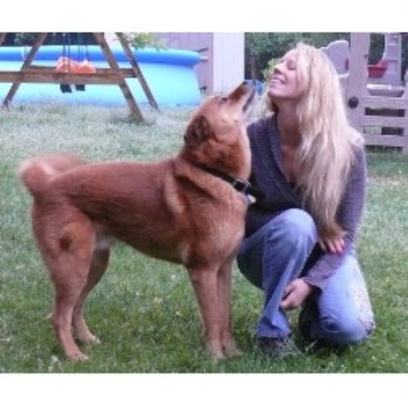 Pet Sitting ,Dog Walking in Maine