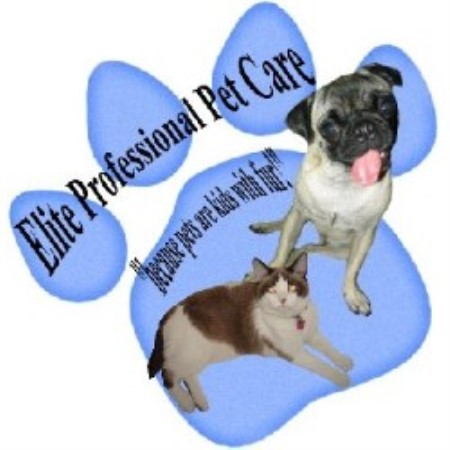 Pet Sitting ,Dog Walking in Arizona
