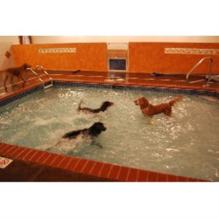 The indoor pool