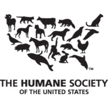 Pet Sitting ,Pet SittingGeorgia