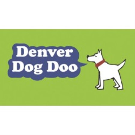 Experienced pet sitter and dog walker in Denver, Colorado