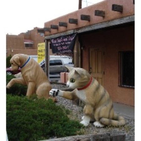 Dog Groomer in New Mexico