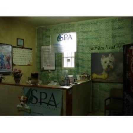 Dog Groomer in New Mexico