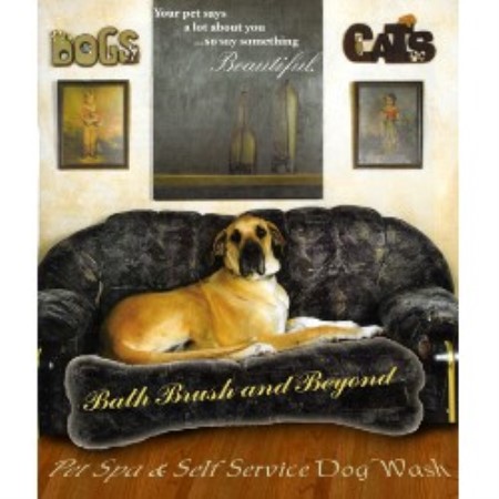 Dog Groomer in New Mexico