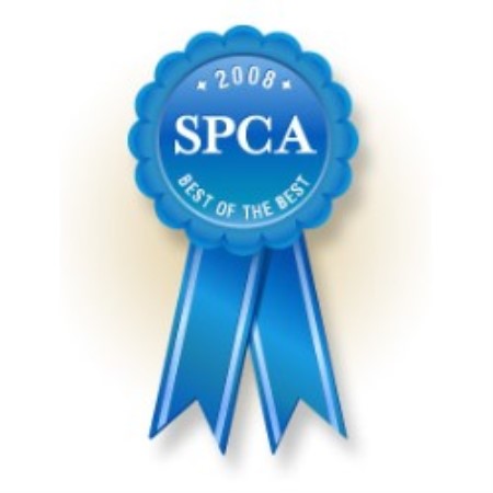 Dog Training in Minnesota