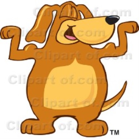 Pet Sitting ,Dog Walking in New York