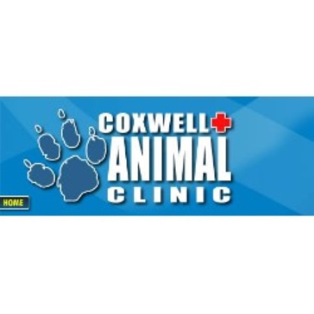 Dog Groomer ,Vet Services in Ontario