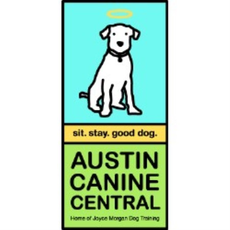 Affordable Dog Grooming Austin Affordable Dog Grooming Austin