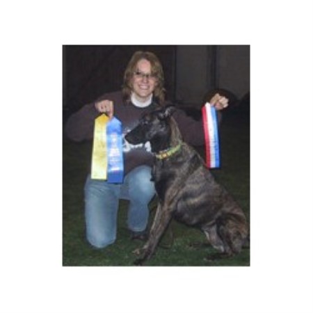 Dog Groomer ,Dog GroomerPet SittingPennsylvania