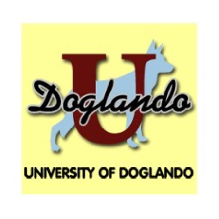 U of D