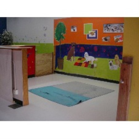Pet Sitting ,Dog Training in Oregon
