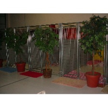 Pet Sitting ,Pet SittingOregon