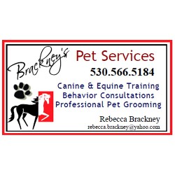 Dog Boarding in Rio Linda, California