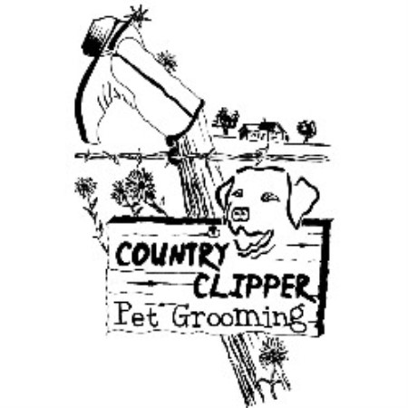 Dog Groomer in New York