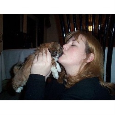 Dog Groomer in New York