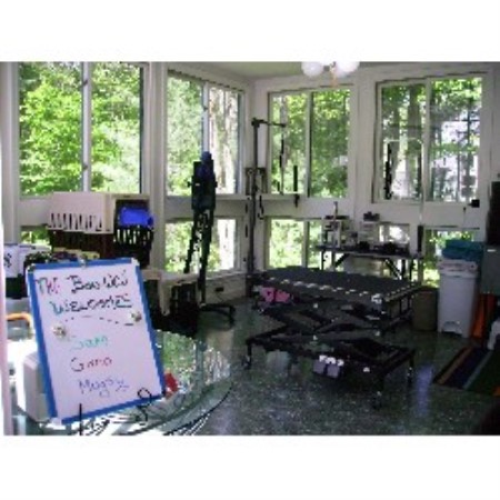 Dog Groomer in Massachusetts