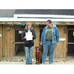 Pet Grooming in Knoxville, Tennessee