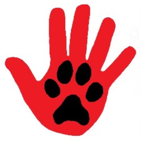Dog Training in Michigan