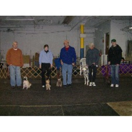 The Positive Pooch- Beginner Class