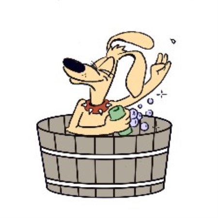 do it yourself wash grooming supply grooming supply brushes combs breeds picture do it yourself wash grooming supply grooming supply brushes combs breeds picture