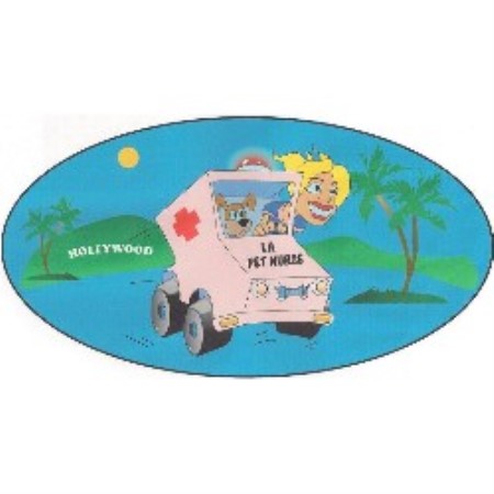 Dog walker in Los Angeles, California