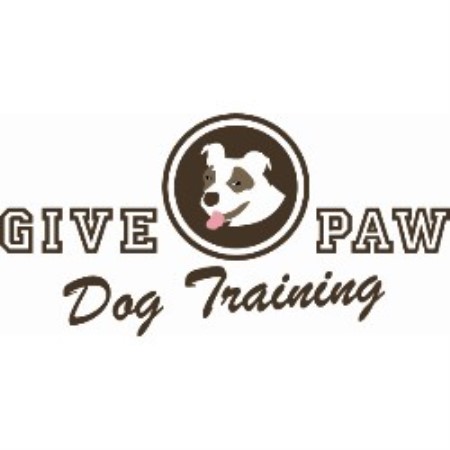 Dog Training ,Dog Walking in New York