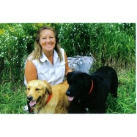 Positive training and pet care services in Belleville, Ontario