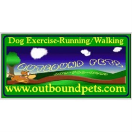 Professional dog walker and dog running exercise