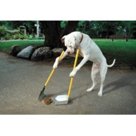 Dog Waste Removal in Laurel MT
