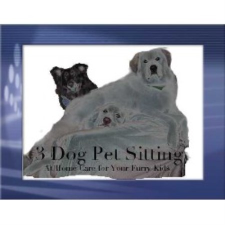 3doglogo