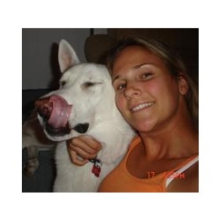 Dog Sitter