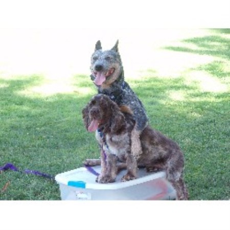Roo and Storm