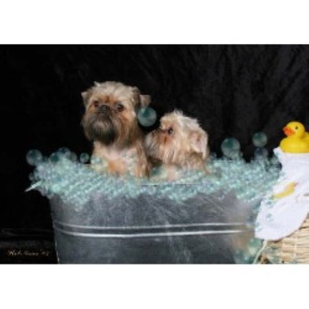 Dog Boutique/Barkery in Tennessee