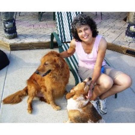 Pet Sitting ,Pet SittingWisconsin
