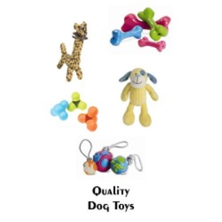 Dog Boutique/Barkery in Washington