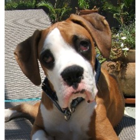 Buster