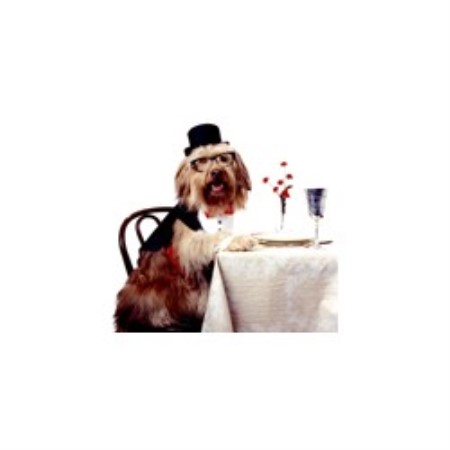Clicker Training in Los Angeles, Ca, California