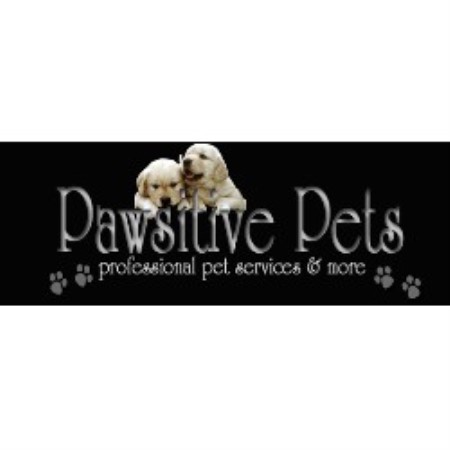 Doggy weekend getaway care in Burlington, Ontario