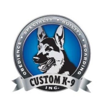 CK9 logo round