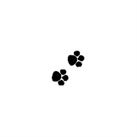 pawprints