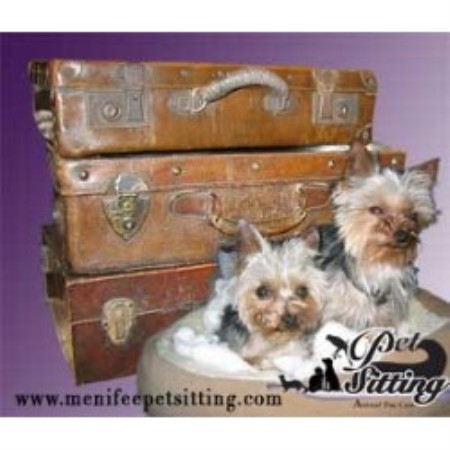 Dog Boarding Menifee Dog Boarding Menifee