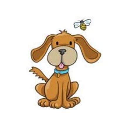 BeeHaven Canine Coaching
