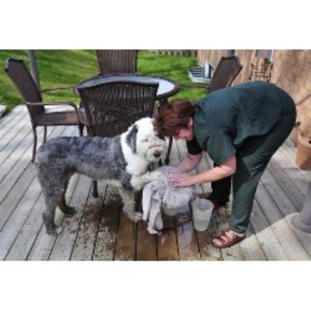 Boarding Kennels ,Boarding KennelsOntario